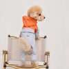 Four-Leg Dog Raincoat for Small Dogs