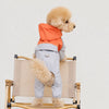 Four-Leg Dog Raincoat for Small Dogs