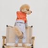 Four-Leg Dog Raincoat for Small Dogs
