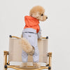 Four-Leg Dog Raincoat for Small Dogs