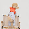 Four-Leg Dog Raincoat for Small Dogs