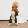 Four-Leg Dog Raincoat for Small Dogs