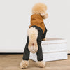 Four-Leg Dog Raincoat for Small Dogs
