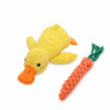 Plush Squeaky Dog Toys for Playtime