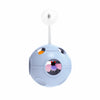 5-in-1 Planet Tumbler Cat Toy with Teaser Wand