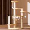 Compact Cat Tree with Enclosed Cat House and Climbing Platforms