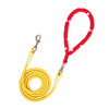 Nylon Round Rope Dog Leash for Small and Medium Dogs