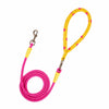Nylon Round Rope Dog Leash for Small and Medium Dogs