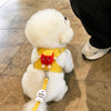 Vest-Style Dog Harness with Leash