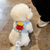 Vest-Style Dog Harness with Leash