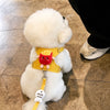 Vest-Style Dog Harness with Leash