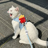 Cute Food-Themed Harness and Leash Set for Small Pets