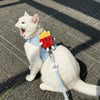 Cute Food-Themed Harness and Leash Set for Small Pets