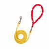 Dog Leash for Everyday Walks