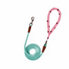 Dog Leash for Everyday Walks