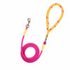 Dog Leash for Everyday Walks