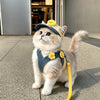 Pet Outdoor Harness and Hat Sets for Small Dogs and Cats