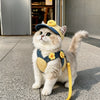 Pet Outdoor Harness and Hat Sets for Small Dogs and Cats