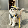 Pet Outdoor Harness and Hat Sets for Small Dogs and Cats