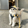 Pet Outdoor Harness and Hat Sets for Small Dogs and Cats