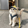 Pet Outdoor Harness and Hat Sets for Small Dogs and Cats