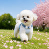Small Dog Vest Harness with Leash