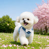 Small Dog Vest Harness with Leash