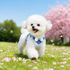 Small Dog Vest Harness with Leash