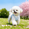 Small Dog Vest Harness with Leash