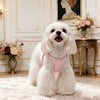 Small Dog Vest Harness with Leash