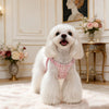 Small Dog Vest Harness with Leash