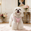 Small Dog Vest Harness with Leash