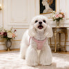 Small Dog Vest Harness with Leash
