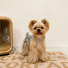 Small Dog Vest Harness with Leash