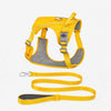 Nylon Dog Harness with Leash