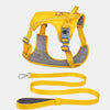Nylon Dog Harness with Leash