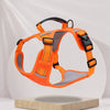 Vest-Style Dog Harness