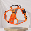 Vest-Style Dog Harness