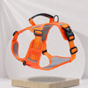 Vest-Style Dog Harness