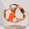 Vest-Style Dog Harness