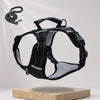 Vest-Style Dog Harness