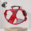 Vest-Style Dog Harness