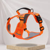 Vest-Style Dog Harness