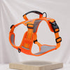 Vest-Style Dog Harness