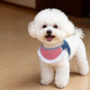 Nylon Dog Vest Harness for Small to Medium Dogs