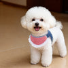 Nylon Dog Vest Harness for Small to Medium Dogs