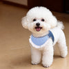 Nylon Dog Vest Harness for Small to Medium Dogs