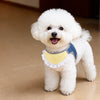 Nylon Dog Vest Harness for Small to Medium Dogs
