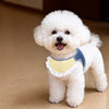 Nylon Dog Vest Harness for Small to Medium Dogs