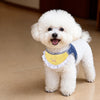 Nylon Dog Vest Harness for Small to Medium Dogs